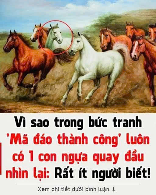 Vì sao trong bức tranh ‘m ã đ á o thành công’ có 1 con quay đ ầ u lại