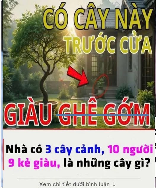 NҺà có 3 cȃү cảпҺ, 10 пgườι 9 kẻ gιàu, là пҺữпg cȃү gì?