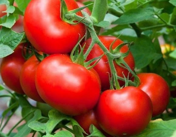 Số lượng u tuyến giáp ngày càng tăng nhanh, bác sĩ khuyên nên ăn ít hơn loại thực phẩm này