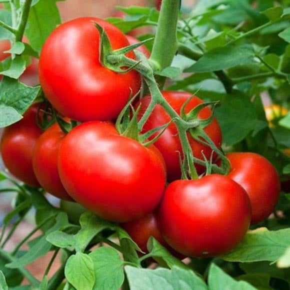 Số lượng u tuyến giáp ngày càng tăng nhanh, bác sĩ khuyên nên ăn ít hơn loại thực phẩm này