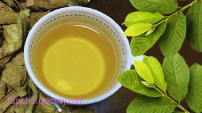 Uống nước lá ổi rất hại với 5 người này: Hãy tránh xa!