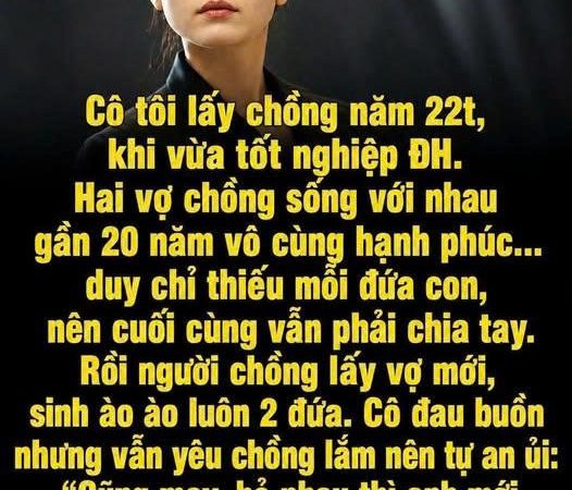 Cô tôi lấy chồng năm 22t, khi vừa tốt nghiệp ĐH. Hai vợ chồng sống với nhau gần 20 năm vô cùng hạnh phúc…duy chỉ thiếu mỗi đứa con, nên cuối cùng vẫn phải ch.ia tay.