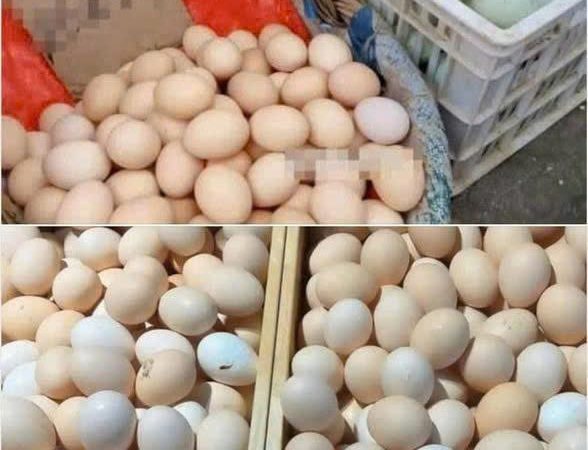 Đừng mua 4 loại trứng này nữa,, hôm nay tôi mới biết nếu ở nhà có thì không nên ăn …