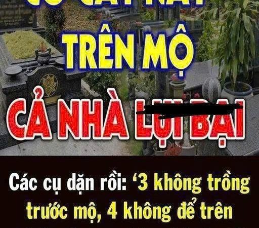 3 cây CHỚ trồng trước m;ộ, 4 thứ KHÔNG để trên giường – Giờ nghe lời, sau đỡ hốihận